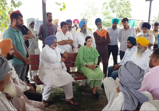 WhatsApp Image 2023-07-18 at 19