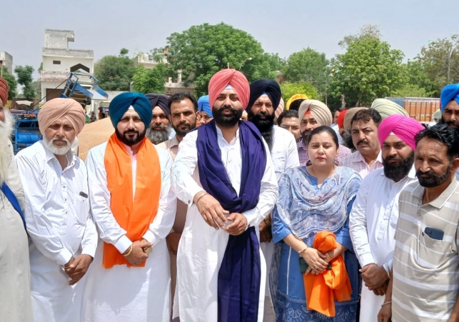 WhatsApp Image 2025-04-18 at 4
