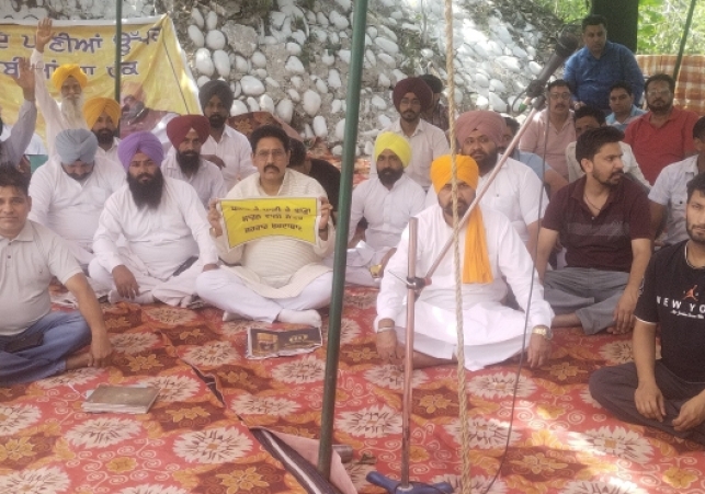 WhatsApp Image 2025-05-18 at 3
