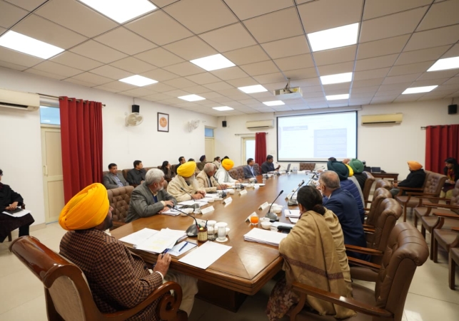 WhatsApp Image 2025-12-29 at 5