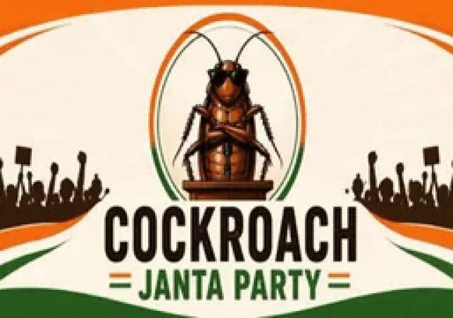 cockroach