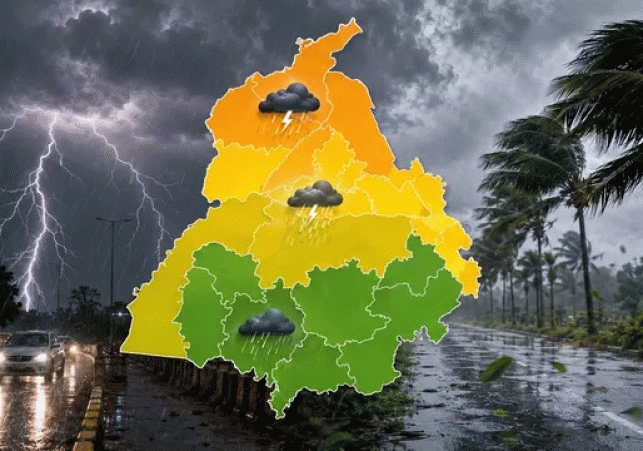 punjab alert