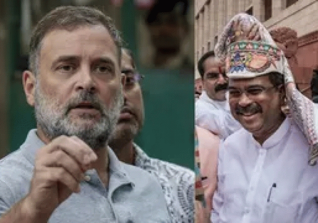 rahul pardhan
