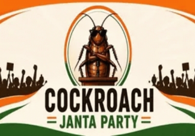 cockroach
