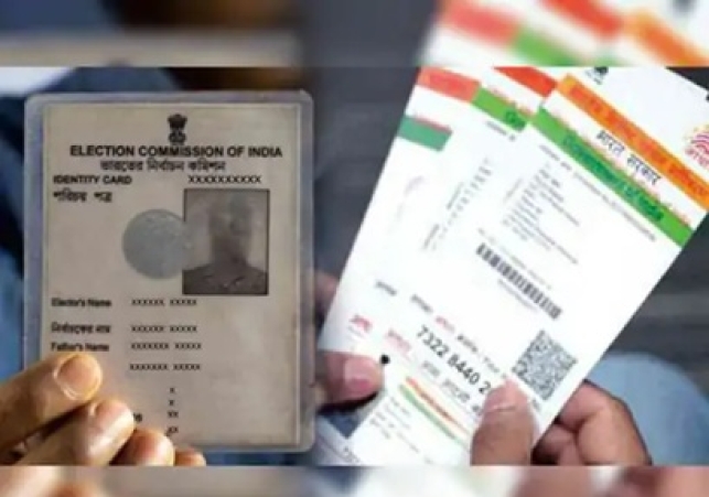 voter id