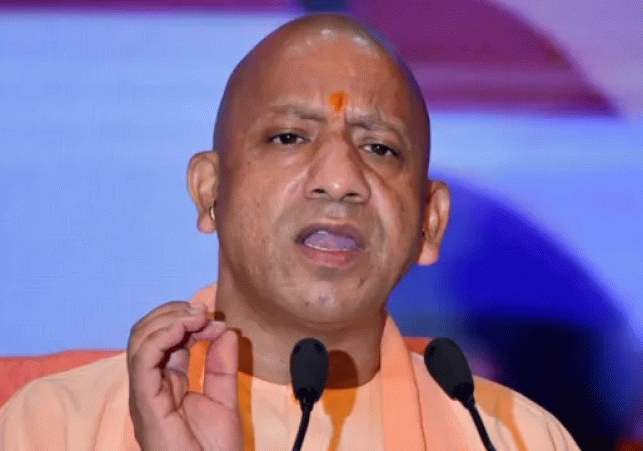 yogi