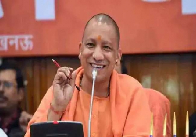 yogi2